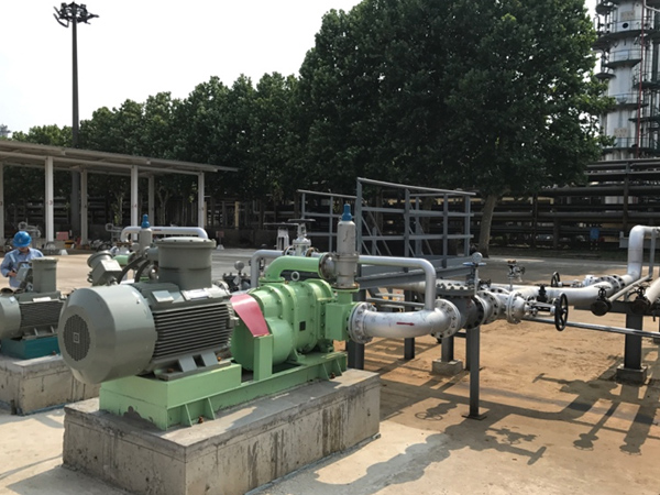 凸輪轉(zhuǎn)子泵