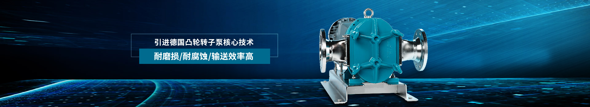 凸輪轉(zhuǎn)子泵